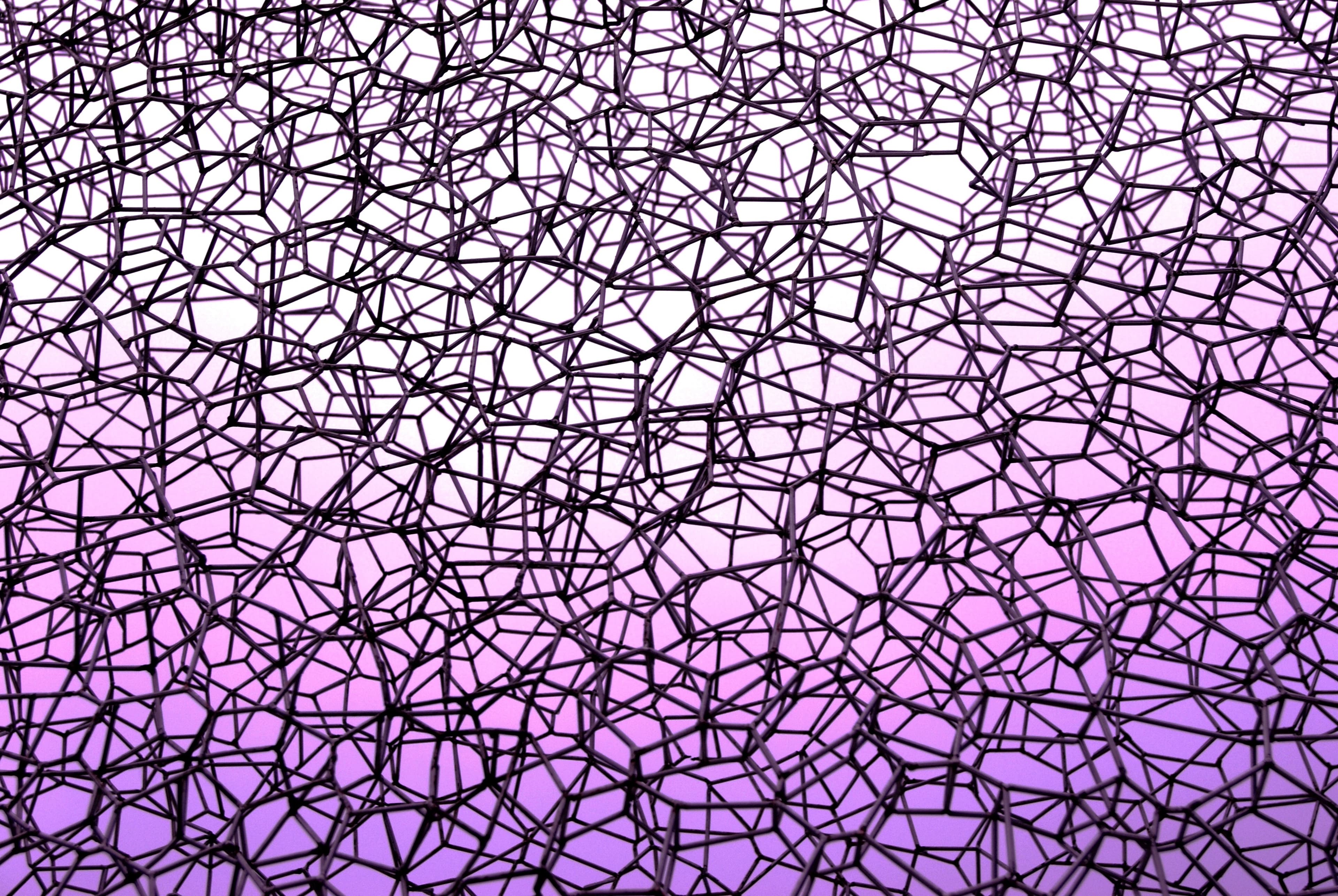 A complex abstract graphic of an interconnected geometric web structure over a purple gradient background.