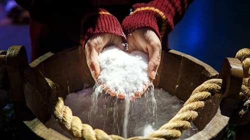 snow in hands